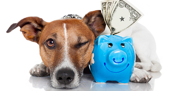 Money Saving Tips for Pet Owners