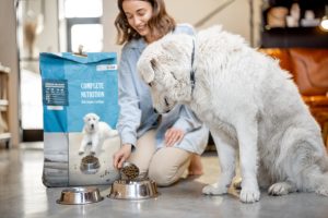 Common Fillers in Commercial Dog Foods