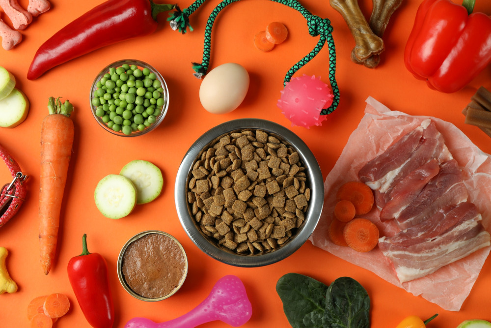 Ingredients to Avoid in Your Dog's Food for Optimal Health