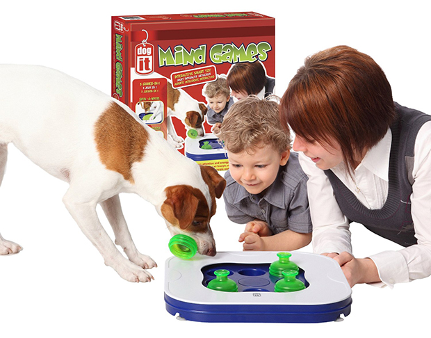 Dogit Mind Games 3-in-1 Interactive Smart Toy for Dogs