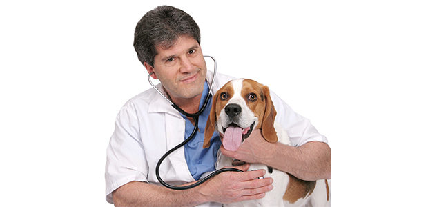 Common Veterinary Tests for Cats and Dogs