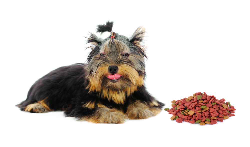 Benefits of Hypoallergenic Dog Food