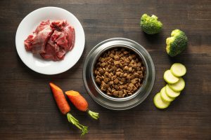 A bowl of nutritious low protein dog food suitable for dogs with specific dietary needs