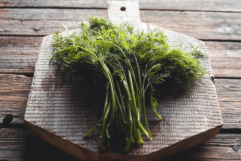 Dill - Digestion Support