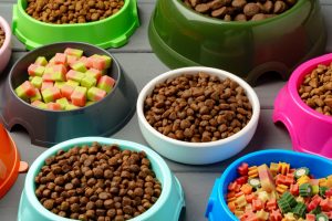 free cat food samples guide