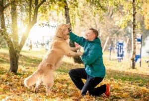 A joyful dog performing a trick next to a smiling trainer in a sunny park, illustrating positive reinforcement training